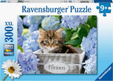 Puzzle de Ravensburger petit chaton 300 xxl pièces