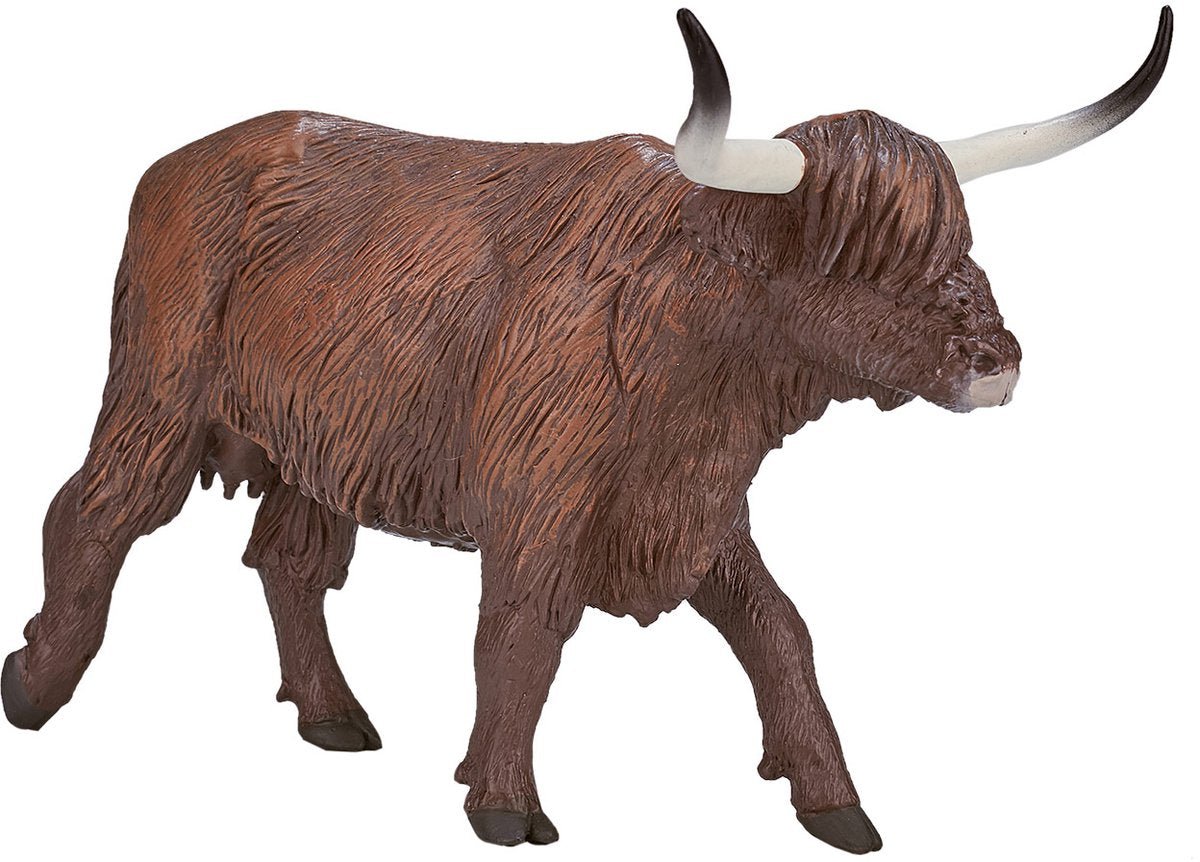 Vache des Highlands des terres agricoles Mojo - 387199