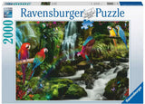Ravensburger puzzle perroquets colorés dans la jungle - puzzle - 2000 pièces