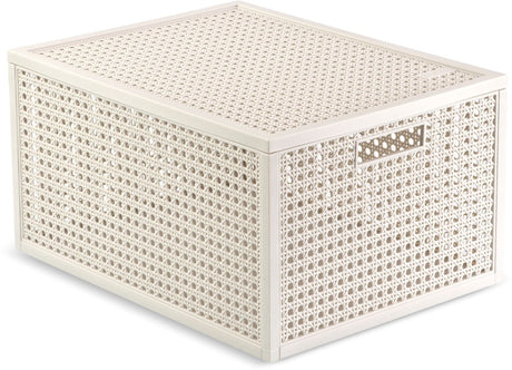 Panier de rangement Curver Kaya - 20l - 37,6x30x20,7 cm - blanc