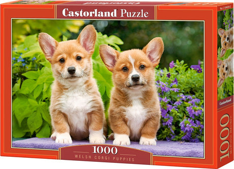 Chiots Welsh Corgi Castorland – puzzle – 1 000 pièces – finition satinée – ajustement parfait – qualité européenne
