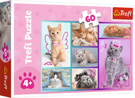 Puzzle Trefl - Chats mignons - 60 pièces - Carton coloré.