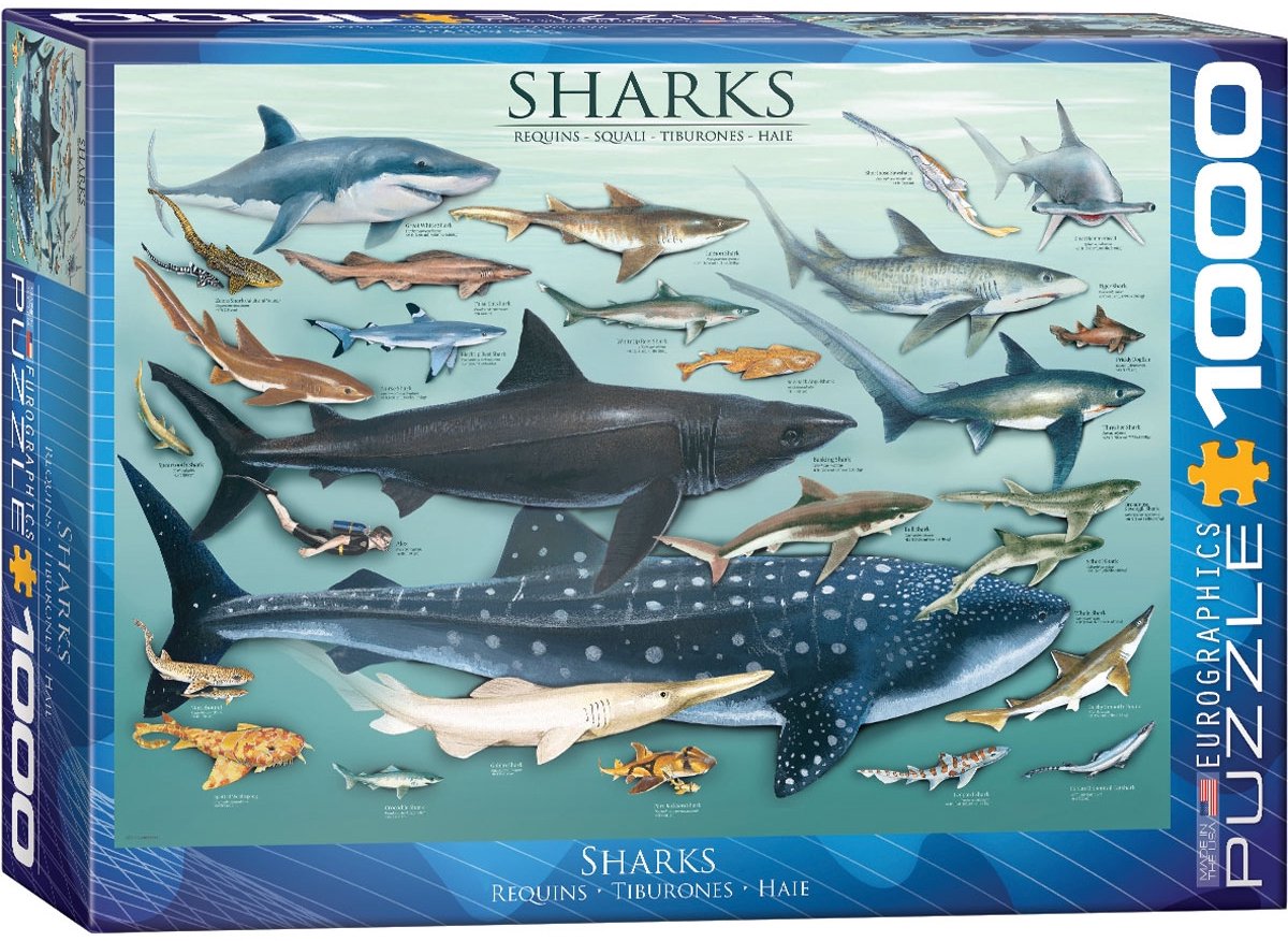 Eurographics - requins [requins] - 1000 pièces 68×48cm (l×h) - puzzle