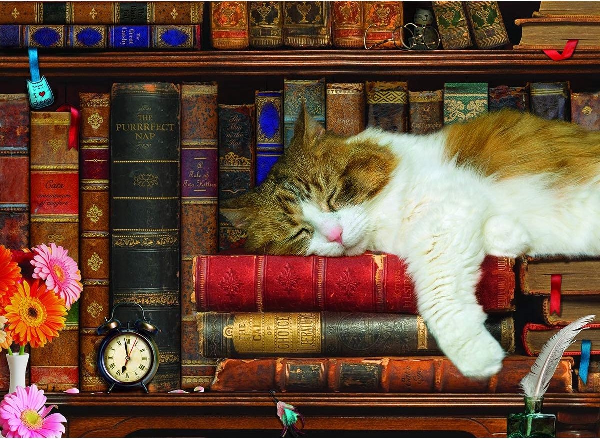 Eurographics - la sieste du chat - 500 pièces xl 68×48cm (l×h) - puzzle familial