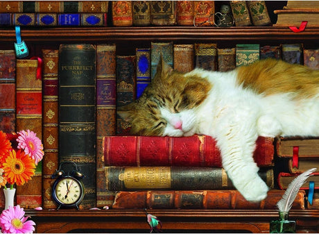 Eurographics - la sieste du chat - 500 pièces xl 68×48cm (l×h) - puzzle familial