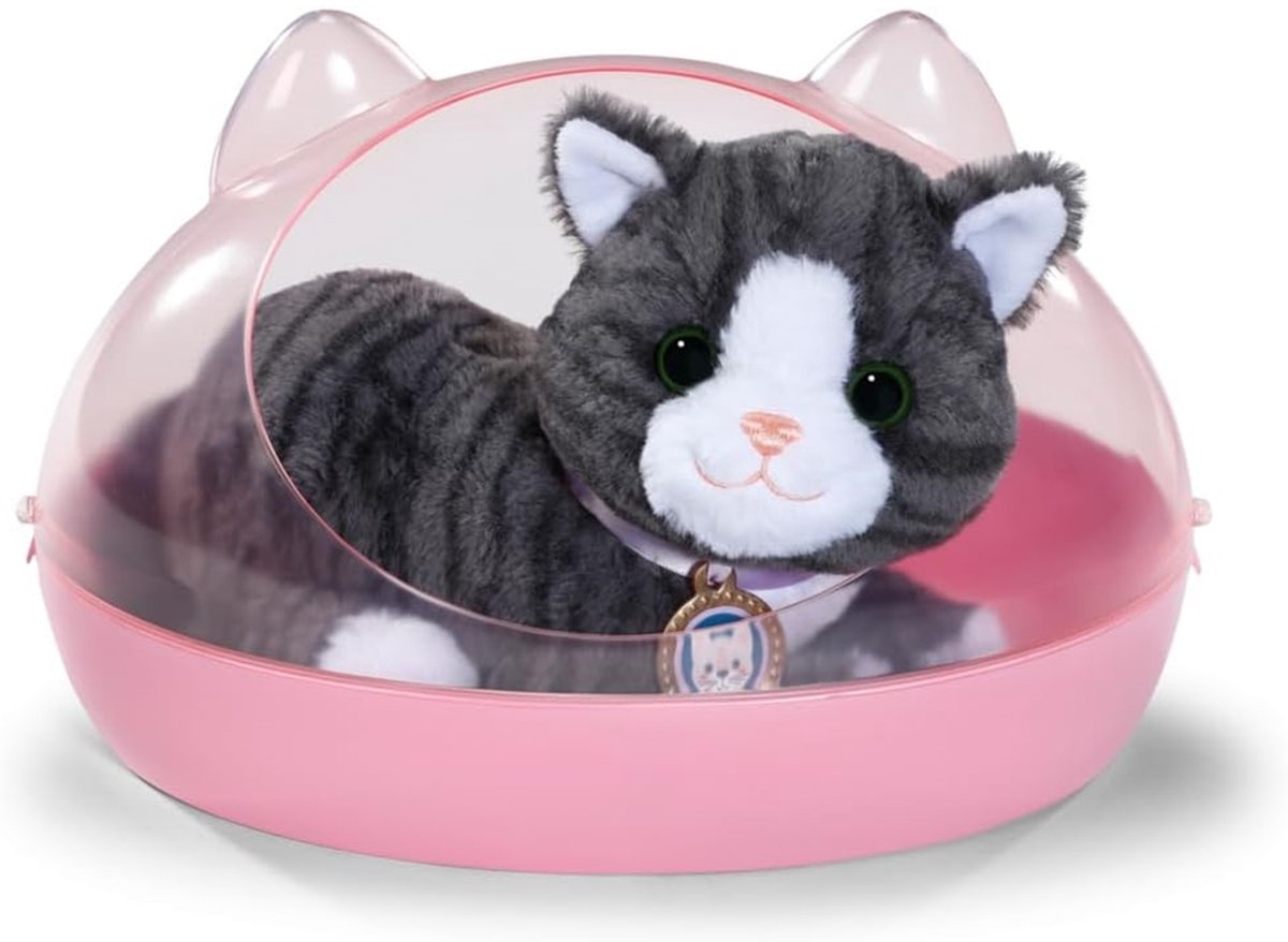 Biscuit bébé né mon chat avec boîte