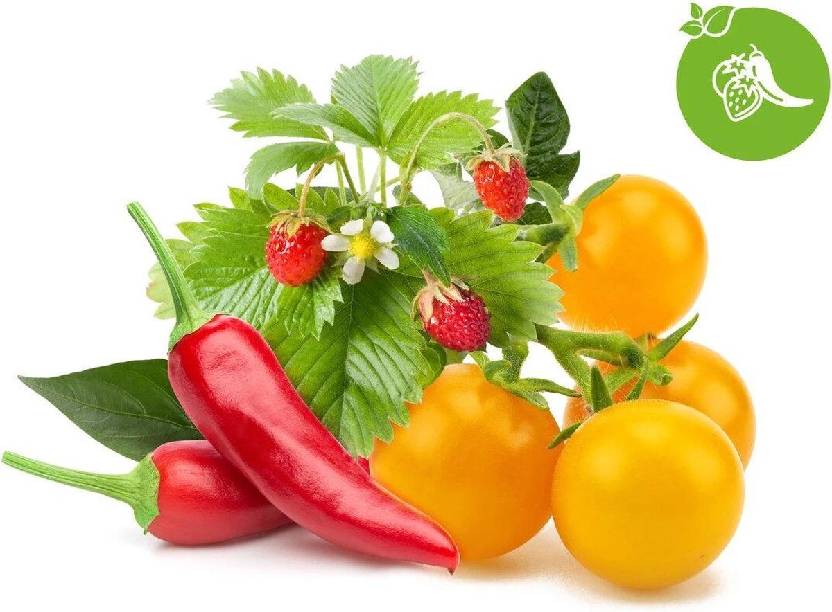 Cliquez sur grandir, cliquez sur faire pousser un mélange de légumes et de fruits