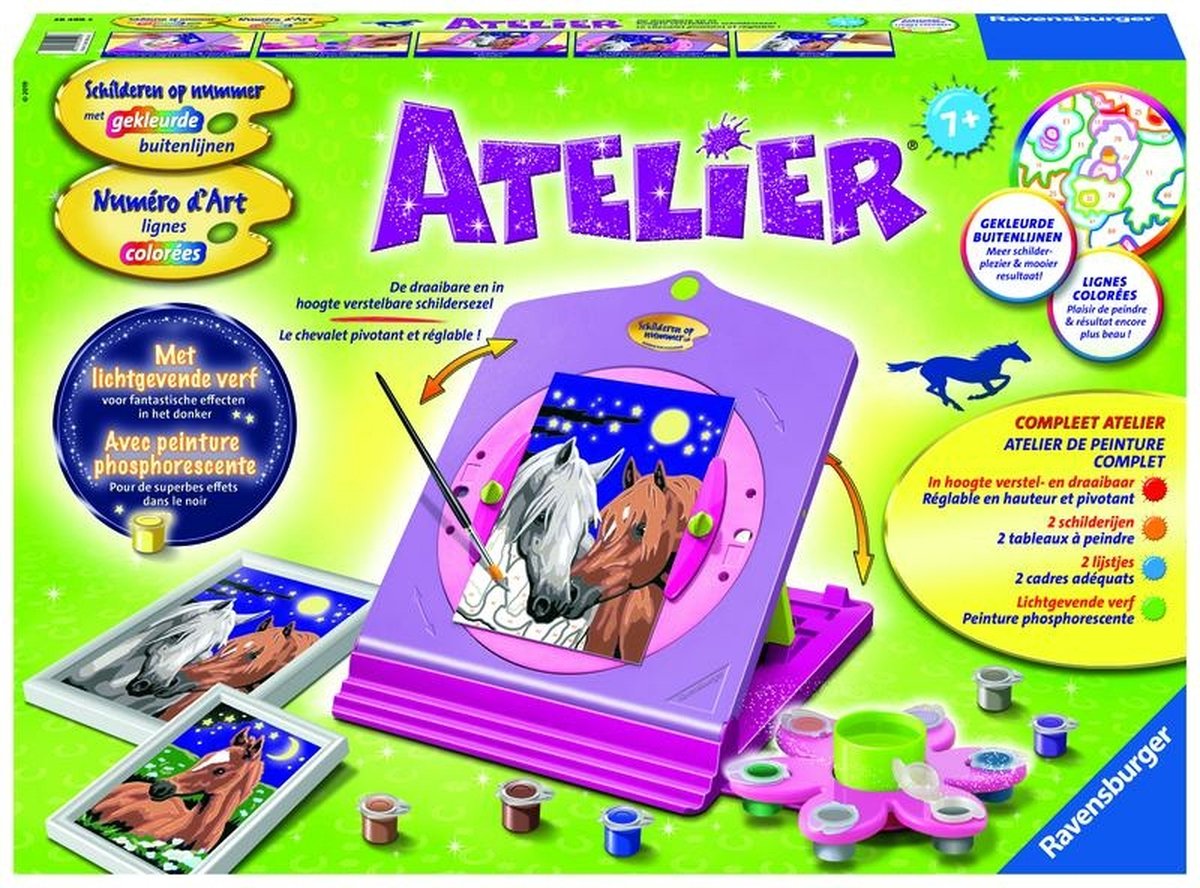 Peinture Ravensburger par numéro studio®