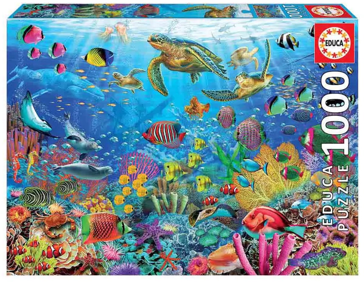 Educa - puzzle - tortues au paradis - 1000 pièces - puzzle pour adultes