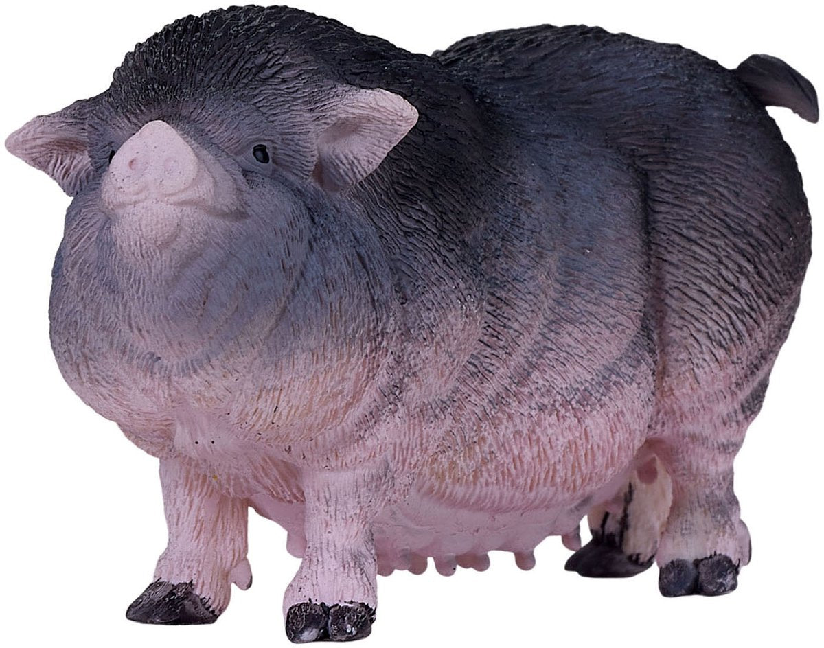 Ventre de cochon des terres agricoles Mojo - 381079