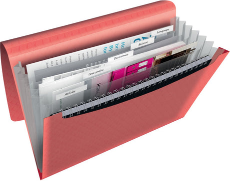 Esselte colour'breeze dossier de projet extensible a4 - organisateur avec 5 onglets 6 compartiments - corail