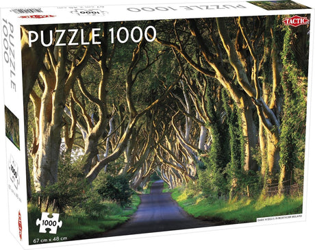 Puzzle tactique haies sombres en Irlande du Nord 1000 pièces
