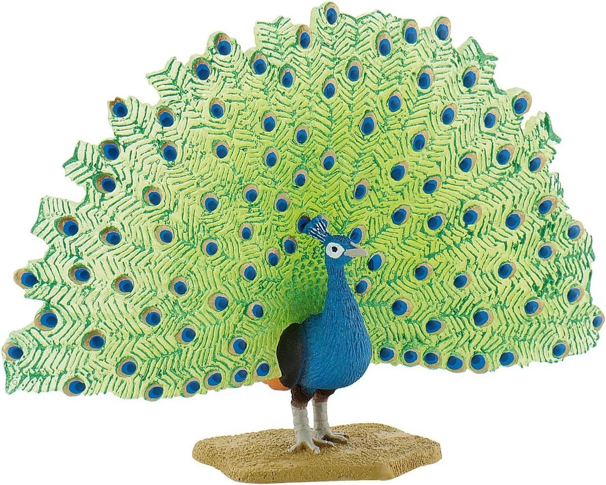 Bullyland 69390 – figurine de jeu paon – env. 8–10 cm – Design réaliste et détaillé – Idéal comme figurine de jeu éducative, décoration ou petit cadeau pour les enfants à partir de 3 ans.