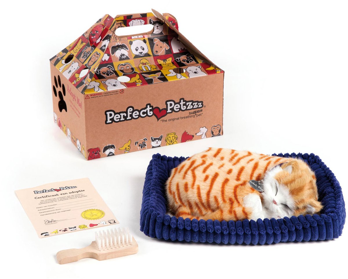 Petzzz parfait, chat tigré orange doux