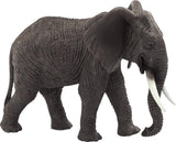 Mojo faune Éléphant africain 387189