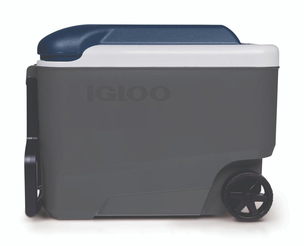 Igloo maxcold 40 roller - glacière moyenne sur roulettes - 38 litres - gris