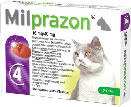 Milprazon krka comprimés vermifuges chat
