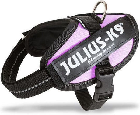 Julius K9 faisceau d'alimentation IDC de renommée mondiale pour étiquettes de texte rose taille : mini-mini