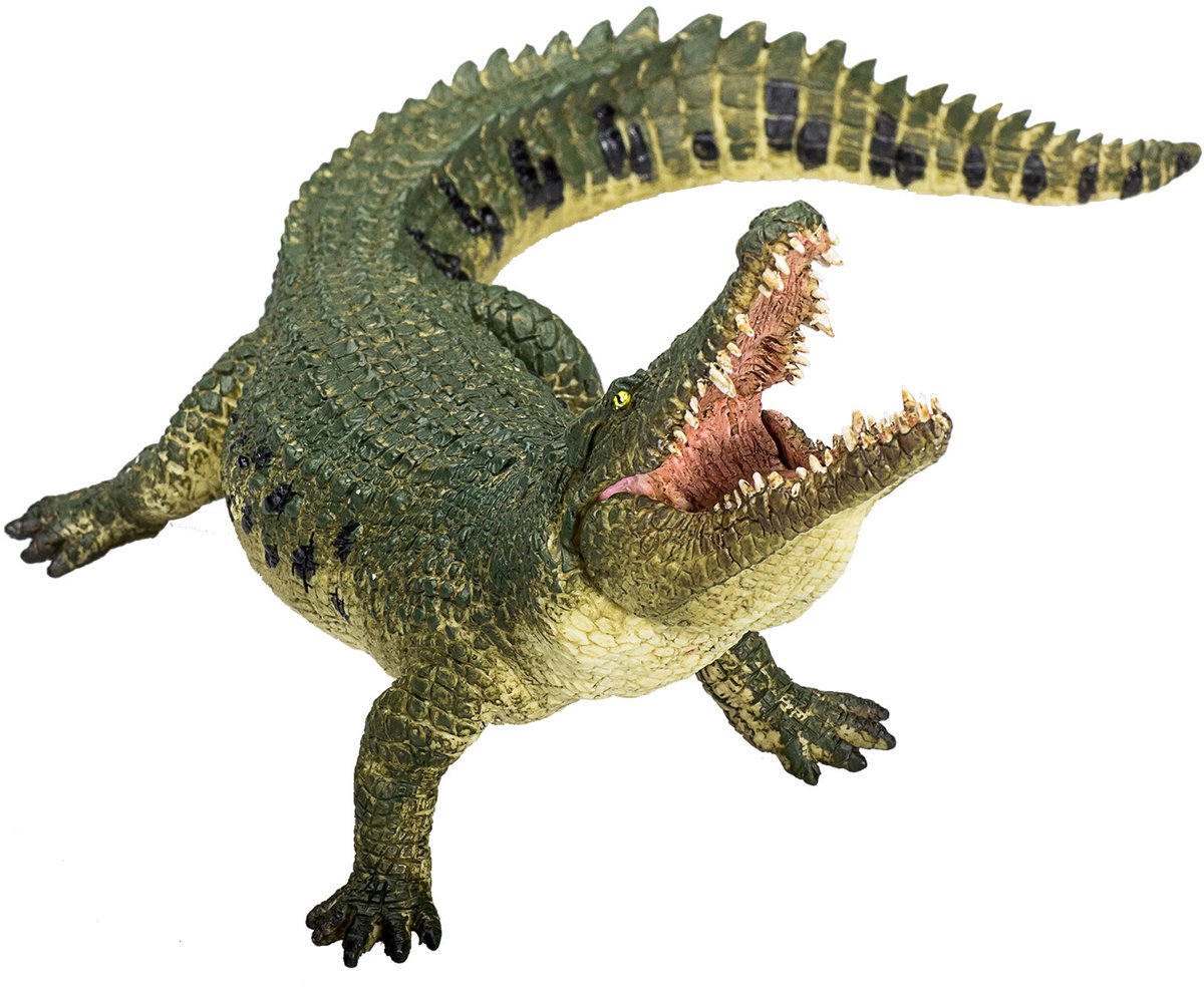 Crocodile sauvage Mojo avec mâchoire mobile - 387162