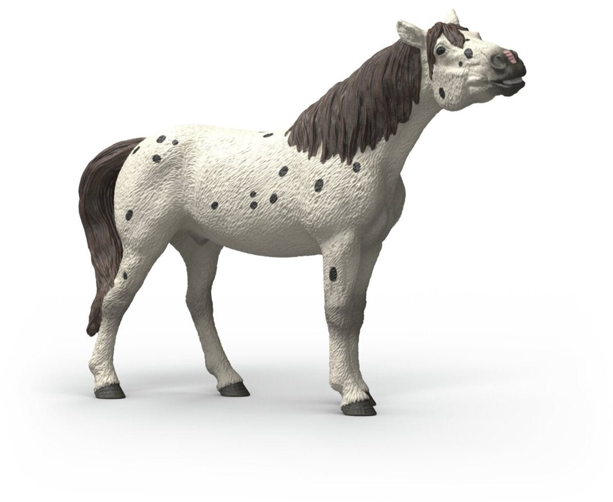 Schleich Horse Club Knabstrupper Hongre 14916