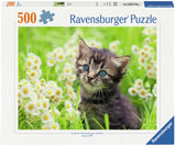 Ravensburger Jat dans la prairie, 500e.