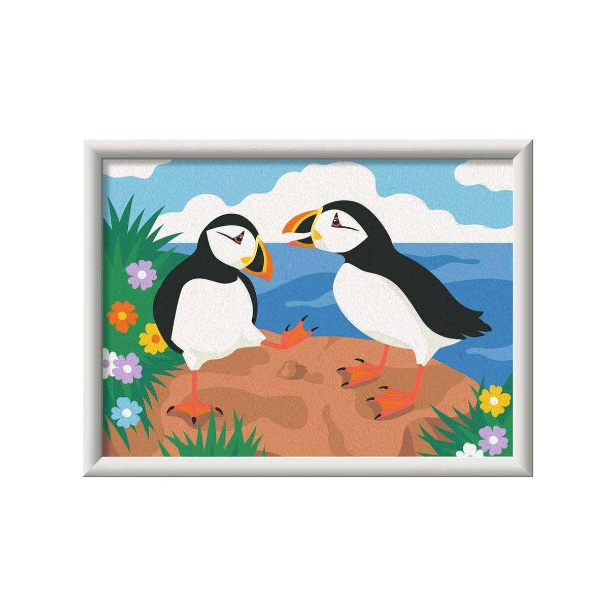 Plongeur perroquet creart Ravensburger