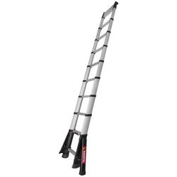 Échelle telesteps 72241-781 4100 mm argent
