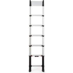 Échelle télésteps 72230-581 3000 mm argent
