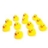Duckiez Mini Ducks en caoutchouc, 12e.