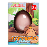 Capybara aux œufs de croissance Duckiez