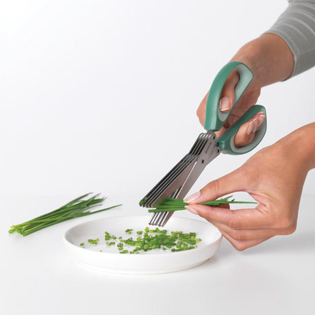 Brabantia savoureux+ ciseaux à herbes avec peigne vert