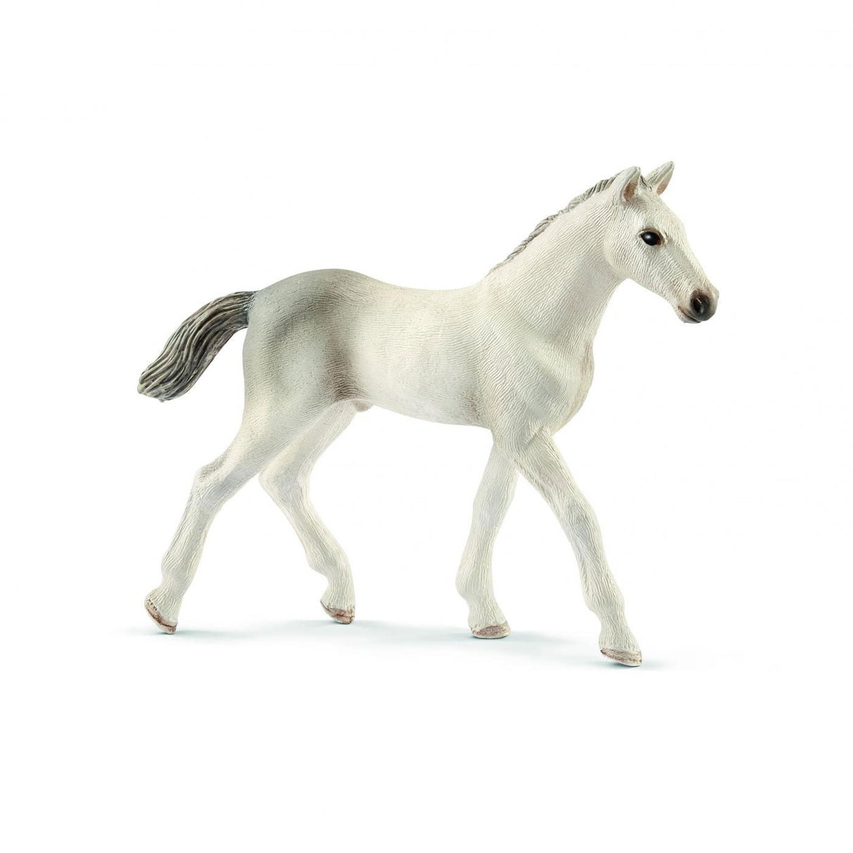 Schleich Horse Club Holstein Veulen 13860