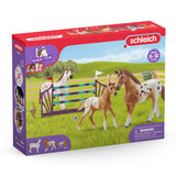 Formation du tournoi de Schleich Horse Club Lisa