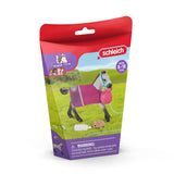 Club équestre Schleich amusant avec poulain 42534