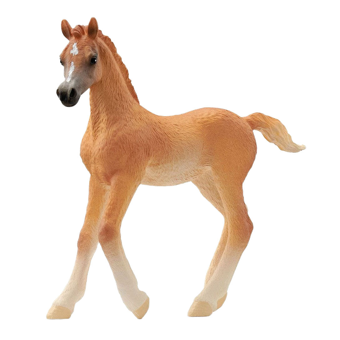 Schleich horse club arabisch veulen 13984