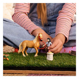 Schleich Horse Club Emliy's kit de soins 42797