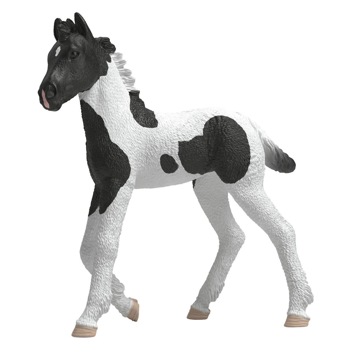 Schleich Horse Club Poulain de collection Rocky 81481