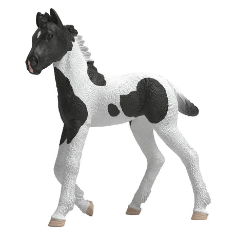 Schleich Horse Club Poulain de collection Rocky 81481