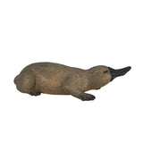 Ornithorynque sauvage Mojo - 387106