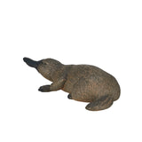 Ornithorynque sauvage Mojo - 387106