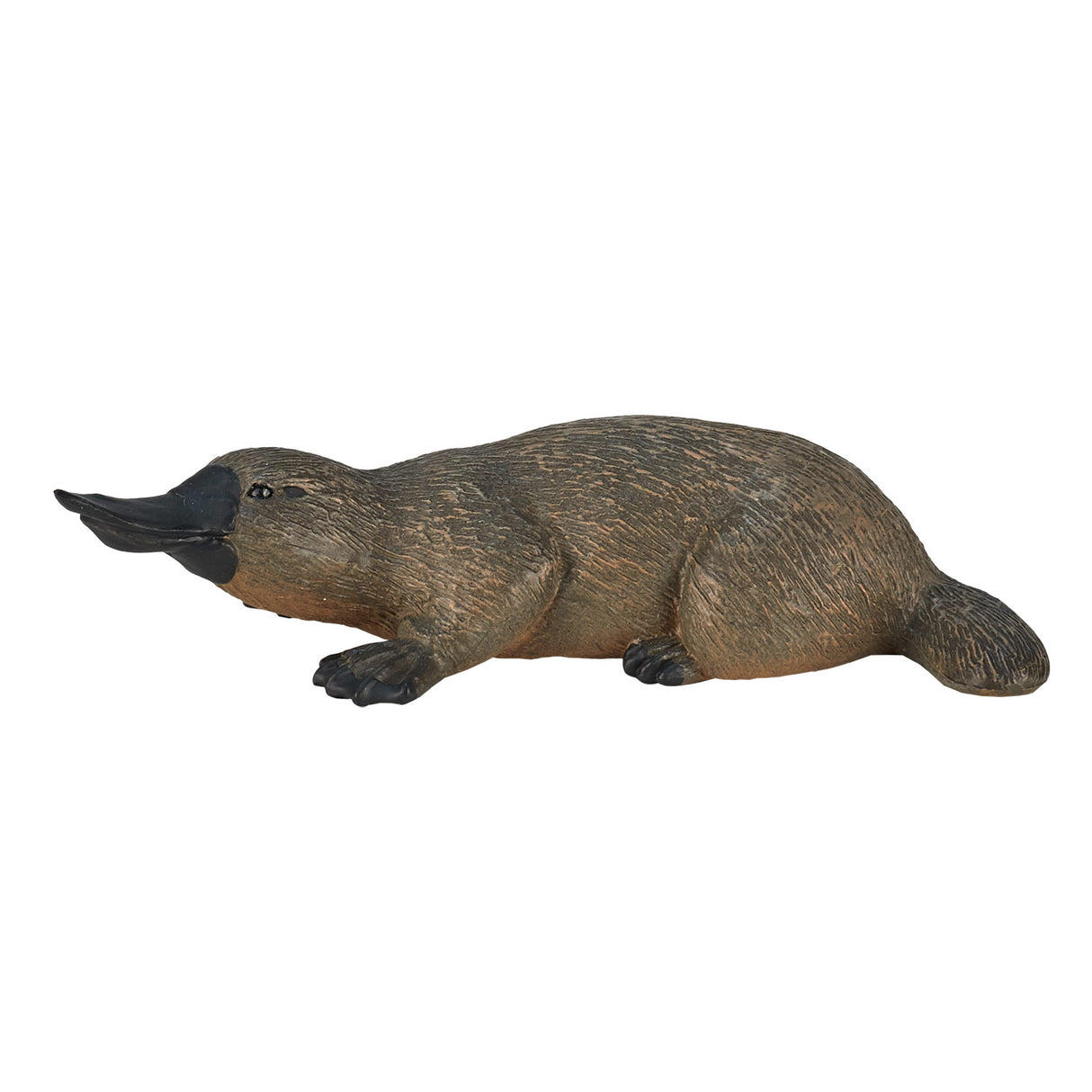 Ornithorynque sauvage Mojo - 387106