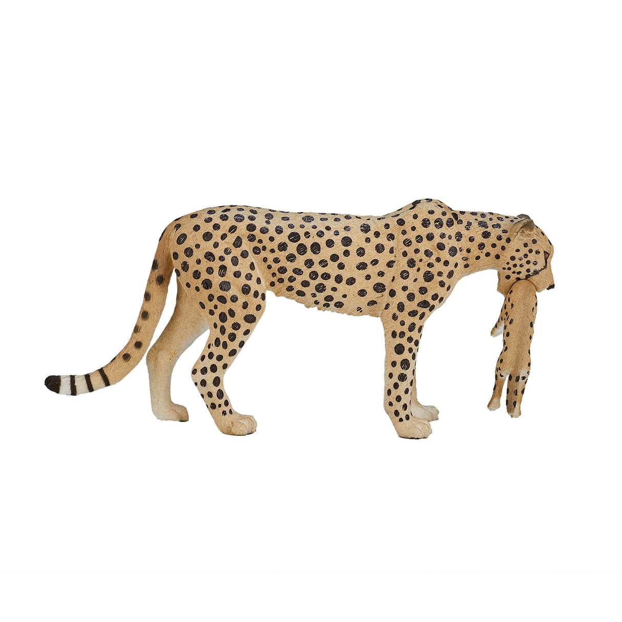 Mojo ustrengend Cheetah weiblech mat Cub 387167