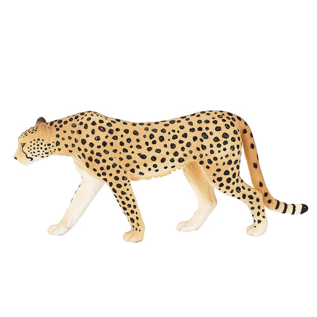 Guépard sauvage Mojo mâle - 387197