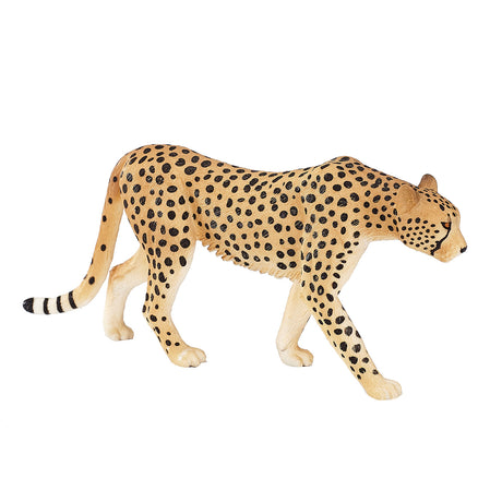 Guépard sauvage Mojo mâle - 387197