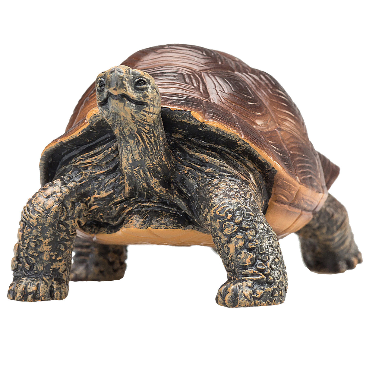 Tortue géante Mojo Wildlife - 387259