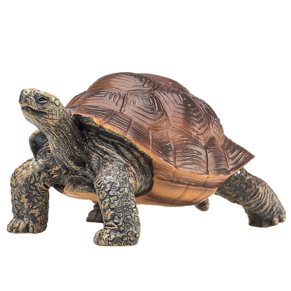 Tortue géante Mojo Wildlife - 387259