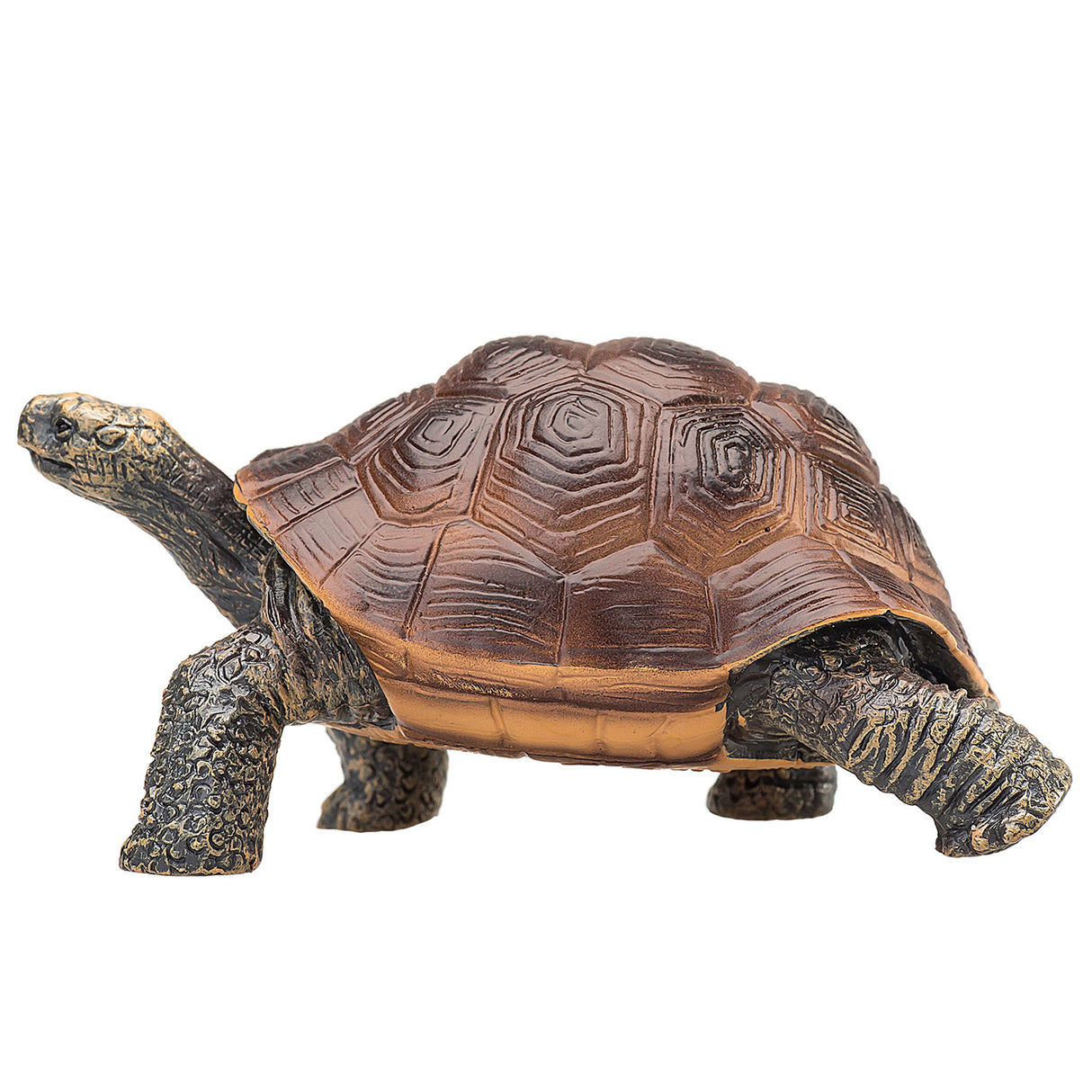 Mojo wildlife Riese Turtpad 387259