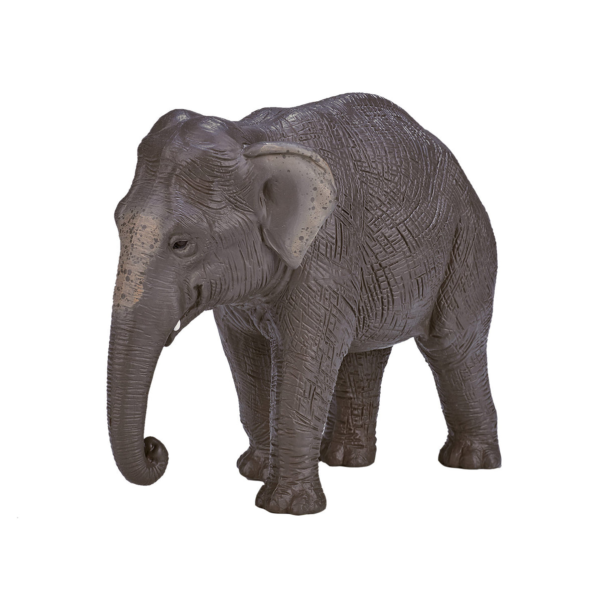 Mojo Wildlife Asian Elephant 387266