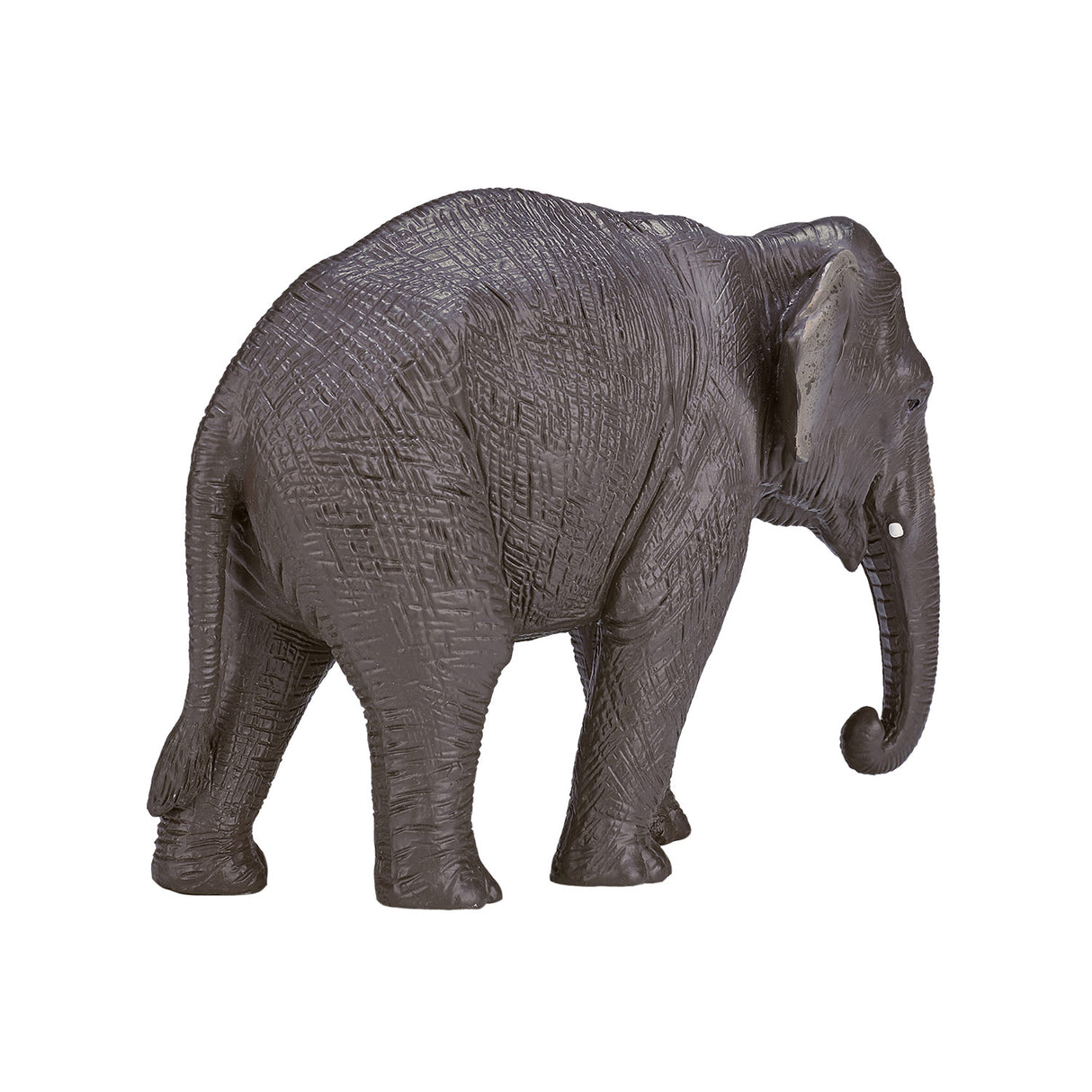 Éléphant d'Asie Mojo Wildlife - 387266