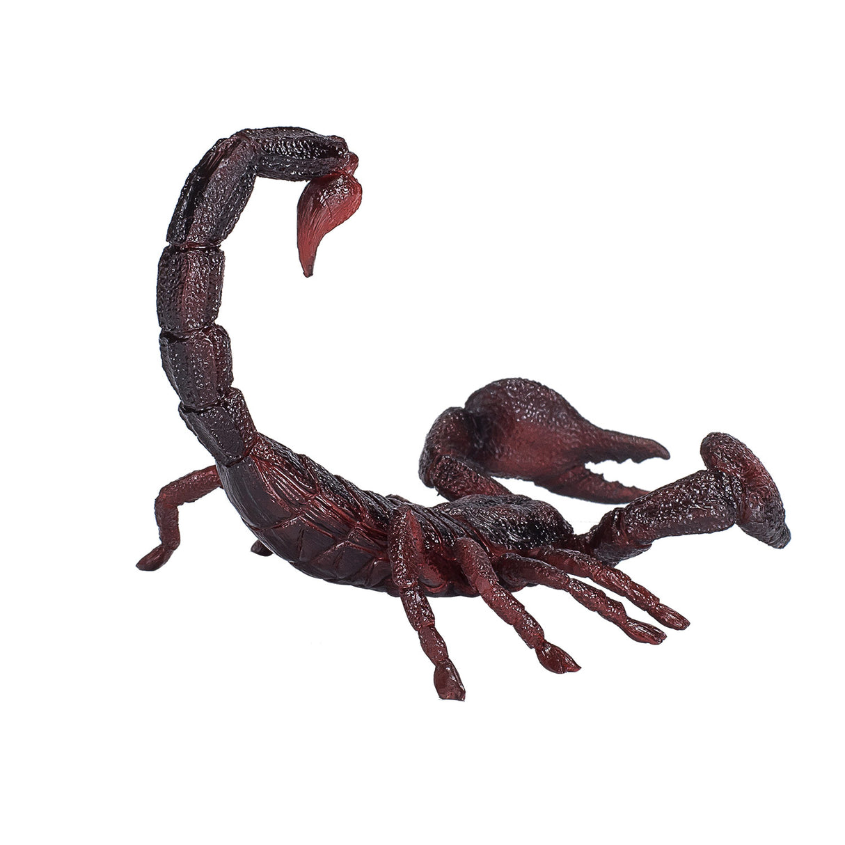 Scorpion empereur de la faune Mojo - 387133